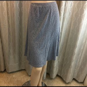 Gored Knit Skirt